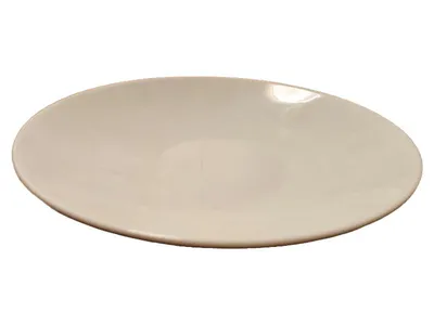 Bauscher Suppenteller Porzellan Weiß 31 cm Minimalistisch Alltag Gastro