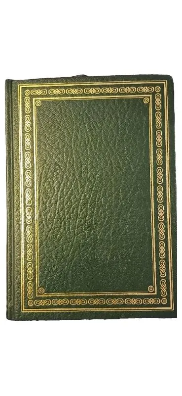 Antiquarisches Buch Grünes Leder Goldverzierung Sammlerstück Vintage