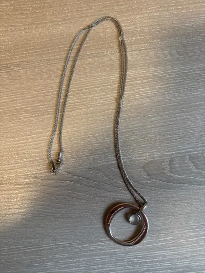 Skagen Damen Halskette Anhänger Silber Kreis 80cm Minimalistisch Metall