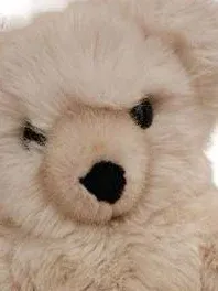 sigikid Teddybär Kuscheltier Klassisch Beige 31 cm
