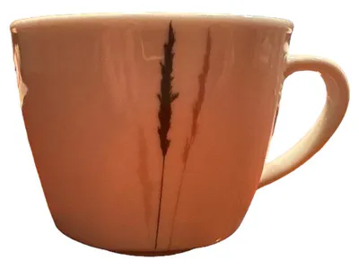 casa NOVA Tasse Porzellan Blume Weiß 8 cm Naturbezogen Alltag Florales Muster