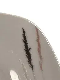 Casa Nova Untertasse Unterteller Porzellan Weiß Gräser Dekor 14 cm