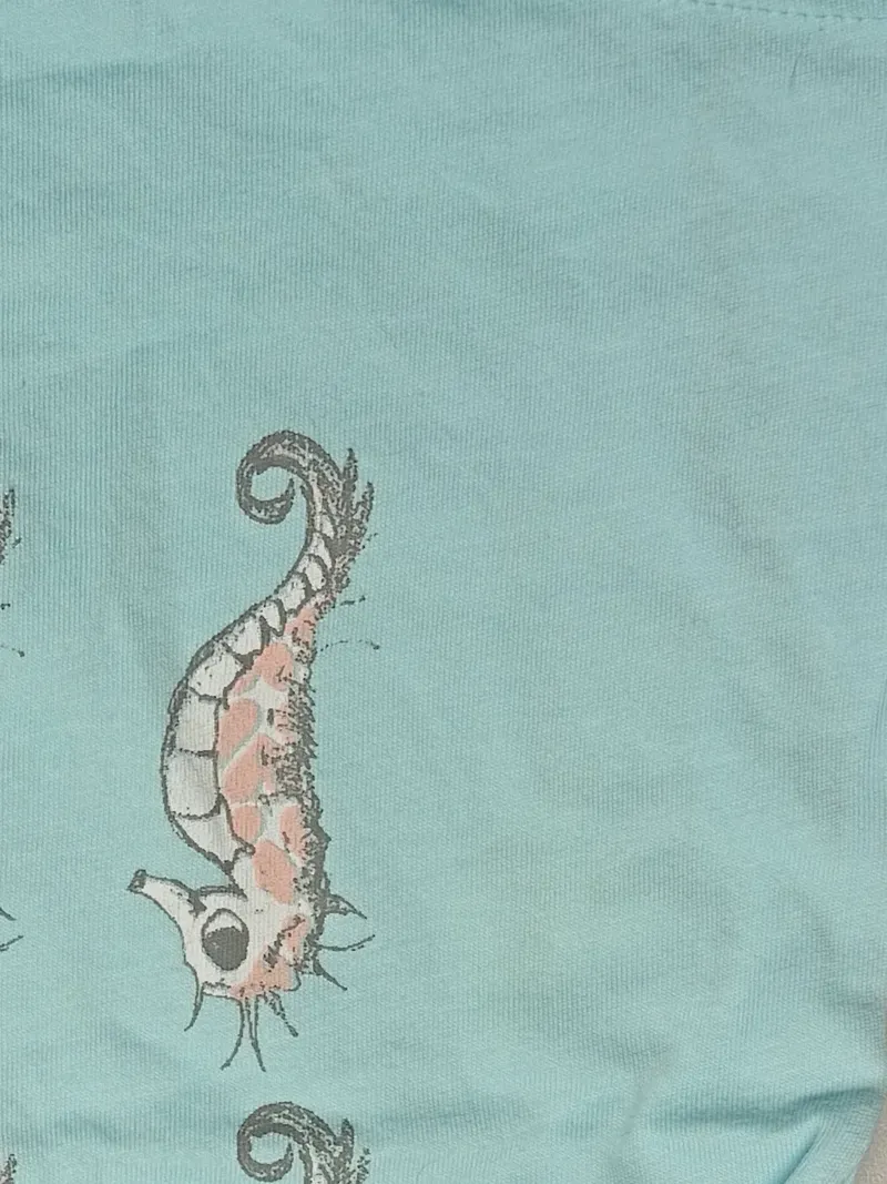 Eat Ants T-Shirt Kurzarm Kinder Tiermotiv Seepferdchen Türkis Gr. 74 3