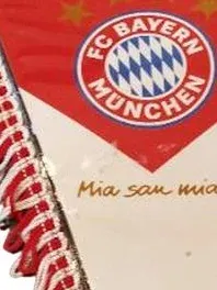 FC Bayern München Wimpel Mia san Mia Fanartikel Rot 27cm