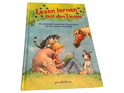 Gondolino Lesebilder-Geschichten Kinderbuch Erstlesebuch Tiere Hardcover