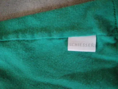 Schiesser Baby Twin Set Shirt Hose Dinosaurier Gr. 56 Grün Grau