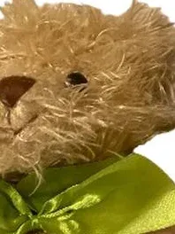 Bukowski Teddybär Kuscheltier beige mit grüner Schleife 35 cm