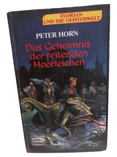Bastei Lübbe Florian und die Geisterwelt Peter Horn Horror Jugendbuch