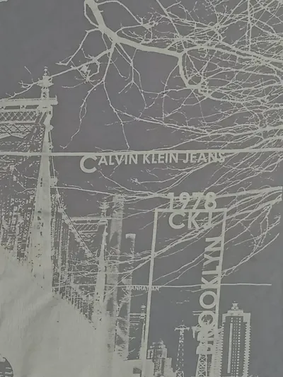 Calvin Klein Jeans T-Shirt Herren Gr. L Grau Brooklyn Grafik Print