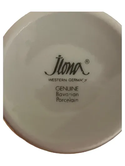 ILONA Porzellan Becher Farnmotiv Bavarian Porcelain Western Germany Vintage