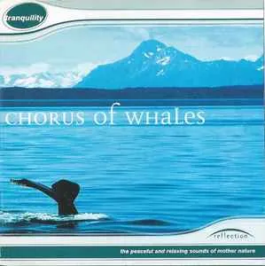 Entspannungsmusik CD Chorus of Whales Tranquillity Naturklänge Wale