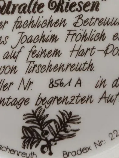 Alt Tirschenreuth Sammelteller Uralte Riesen Eibe Balderschwang Nr. 8561A