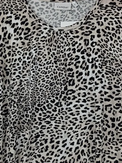CANDA Damen T-Shirt Leopardenmuster Beige Schwarz Gr. XL 42