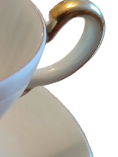Fürstenberg Kaffeetasse mit Untertasse Blumendekor Porzellan Gold