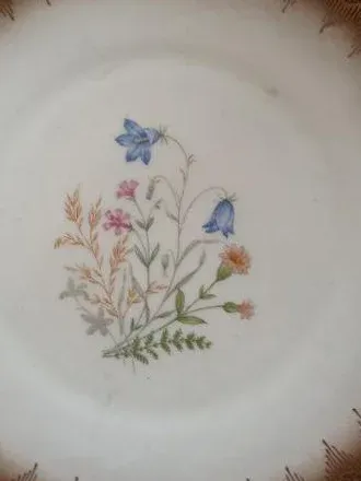Bavaria Porzellan Essteller Blumenmotiv Goldrand 20cm Vintage