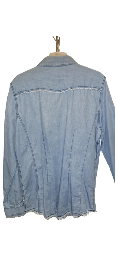 Emily van den Bergh Damen Jeanshemd Hemdbluse Gr. 42 Blau Baumwolle