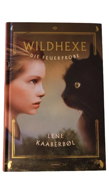 Wildhexe Die Feuerprobe Lene Kaaberbøl Jugendbuch Carl Hanser Verlag 1
