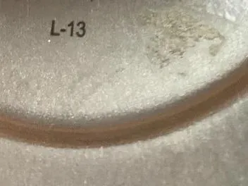 Alfi Isolierkanne Thermoskanne Edelstahl 1,0L Silber spülmaschinenfest 4