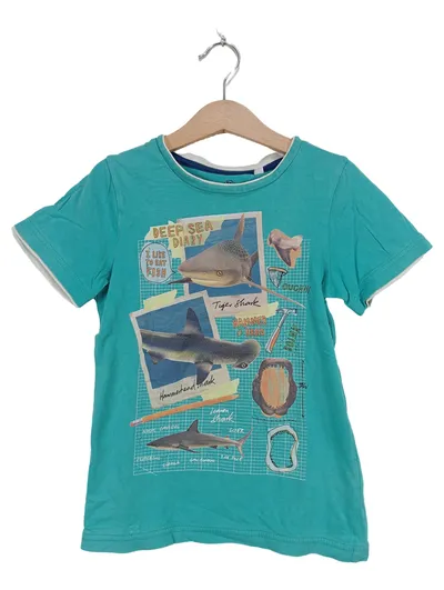 Palomino Kinder T-Shirt Hai Motiv Kurzarm Baumwolle Türkis Gr. 122