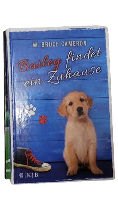 Bailey findet ein Zuhause W. Bruce Cameron Kinderbuch Taschenbuch Fischer KJB