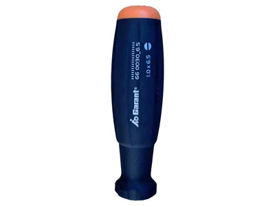 Garant Schlitzschraubendreher 1.0x6.5 Schwarz Werkzeug