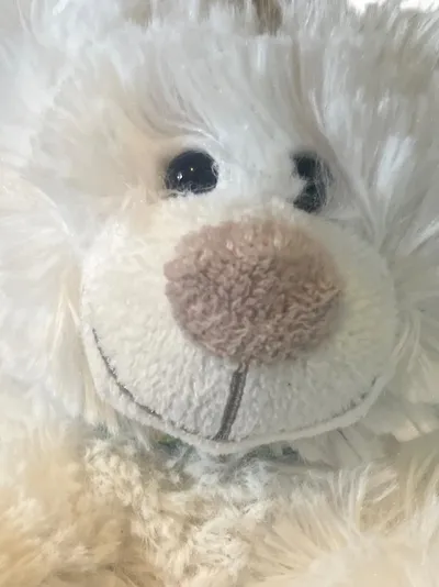 Martin Bären Baby Kuscheltier Plüschtier Bär Uni Weiß 17 cm