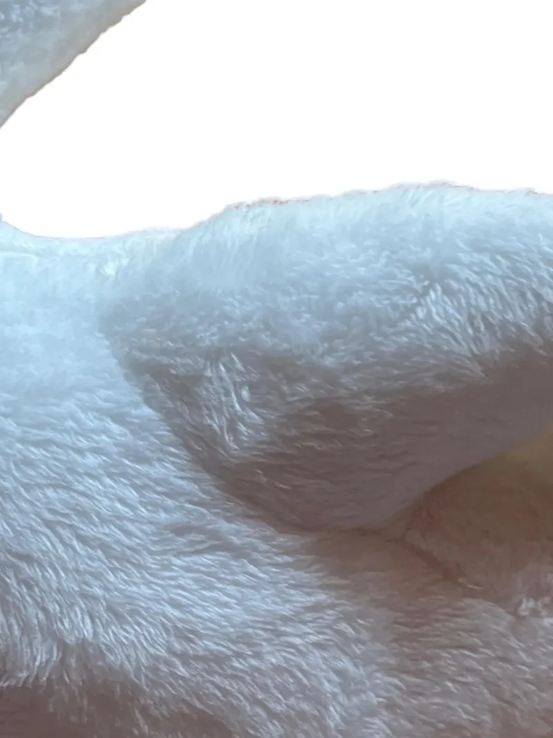 Cornelissen Schwan Baby Kuscheltier Plüschtier Weiß 21cm 3