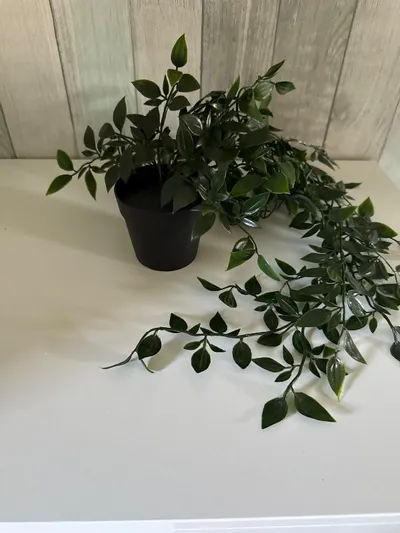 IKEA Künstliche Pflanze Grün Florales Muster 35cm Hängend Deko