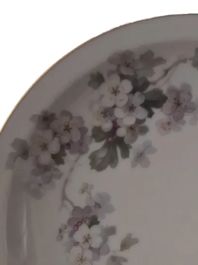 Thomas Bavaria Porzellan Essteller Blumenmuster Goldrand Vintage