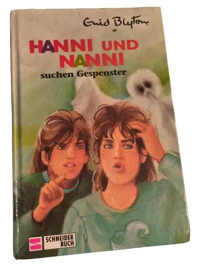 Hanni und Nanni suchen Gespenster Enid Blyton Kinderbuch Schneider Buch