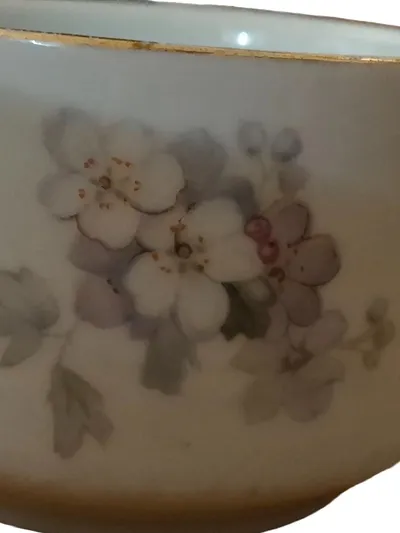 Thomas Bavaria Porzellan Tasse Blumenmuster Goldrand Vintage