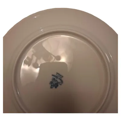 Royal Tettau Essteller Porzellan Klassisch Weiß Blumendekor 20 cm