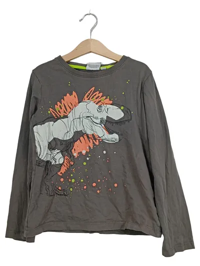 Jurassic World Langarmshirt Kinder Baumwolle Drache Grau Gr. 134