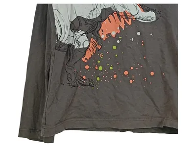 Jurassic World Langarmshirt Kinder Baumwolle Drache Grau Gr. 134