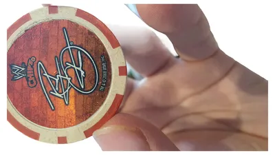 WWE Wrestling Chips Sammelkarten Set Mehrfarbig Sammelstücke