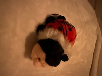 NICI Marienkäfer Kuscheltier Plüschtier Rot 7cm