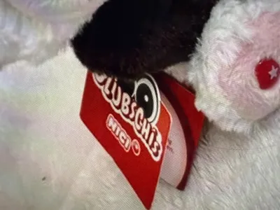 NICI Glubschi Husky Baby Kuscheltier Plüschtier Hund Mehrfarbig 8cm